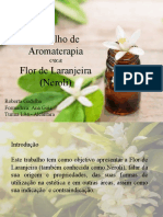 Trabalho de Aromaterapia