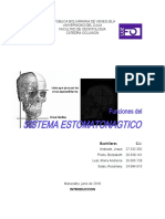 Trabajo - Sistema Estomatognatico