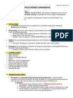 Ivu PDF