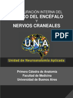 Configuración Interna Del Te y Nervios Craneales(1)