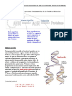 ArchivetempLa Informacion Genetica 4潞 ESO