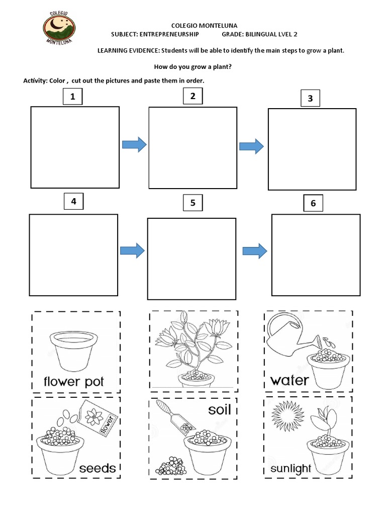 Steps To Grow A Plant | PDF