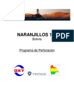 Programa de Perforacion Pozo Naranjillos 120 PDF