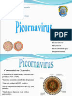 Picornavirus
