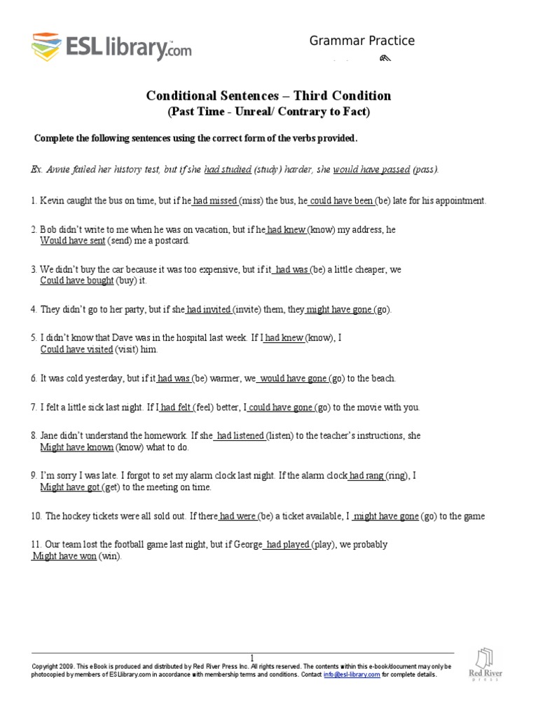 Third Conditional Exercises | E Books