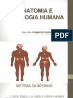 Sistema Endocrino