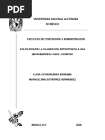 A1 Aplicacion Planeacion Estrategica MICROEMPRESA