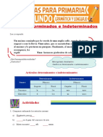 Artículos Determinantes e Indeterminantes para Segundo Grado de Primaria