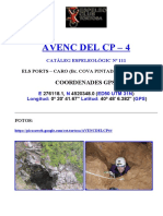 AVENC DEL CP - 4