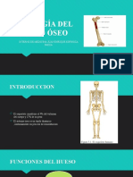 Biología Del Tejido Óseo