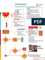 Protocolo Emergencia Actual