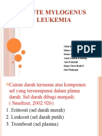 Acute Mylogenus Leukemia
