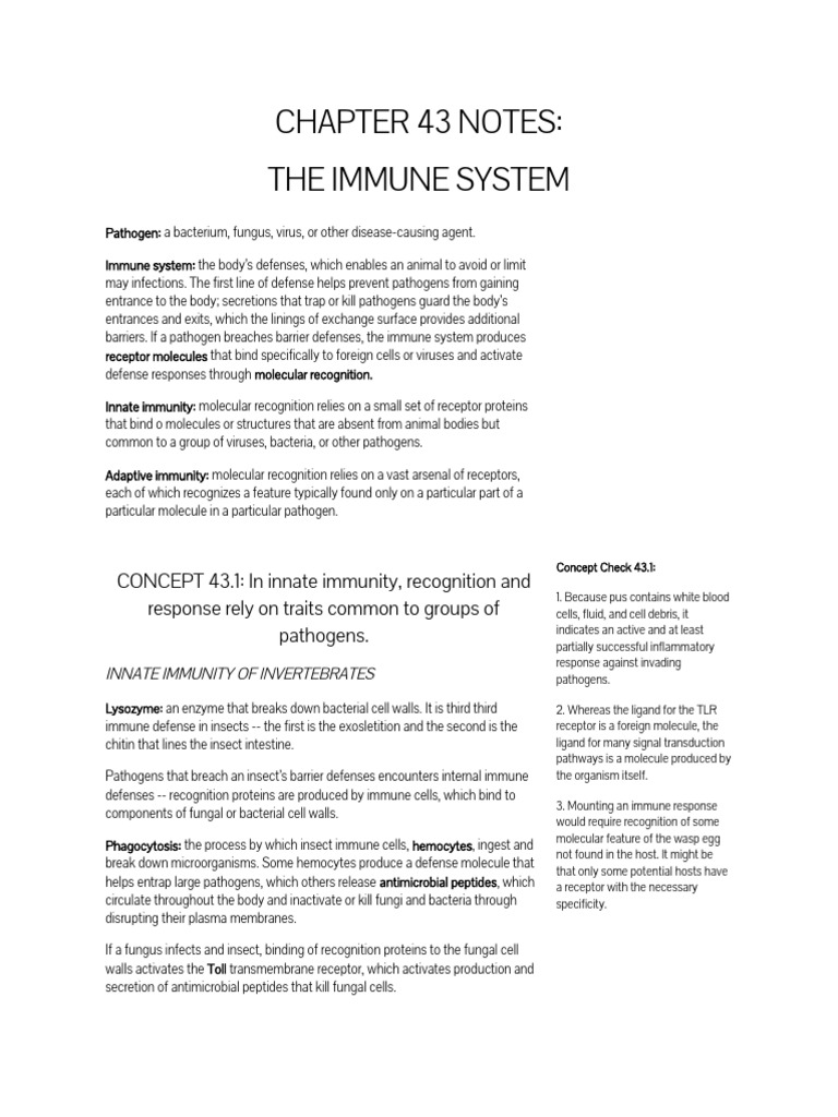 Immune System Overview and Mechanisms | PDF | Immune System | Antigen