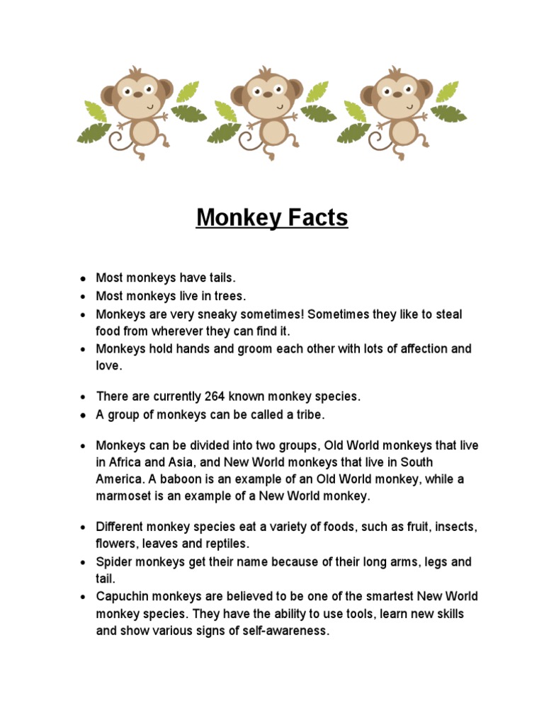 Who s Got The Monkey Pdf Monkey Facts | PDF