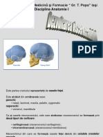 3-developpement_craniofacial