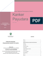 Ppk Pay Udara