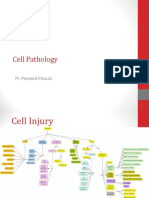 Week 1 - Cell Pathology