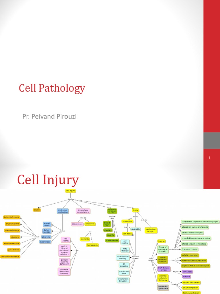 Cell Pathology for Medical Students | PDF | Hypoxia (Medical) | Necrosis