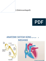 EKG (Elektrocar