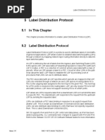 5 Label Distribution Protocol: 5.1 in This Chapter