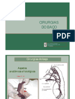 Cirurgias Do Baço - Cirurgia Veterinária - UFBA