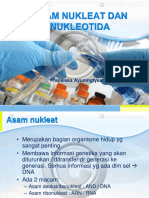 4. asam nukleat