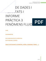 MF - P3 - Fulls Dades I Resultats - 19P