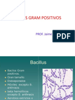 3-Bacilos Gram Positivos
