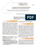 Factibilidad Económica y Financiera de Un Sistema de Producción Acuapónico de Tilapia, Lechuga y Langostino de Río en Delicias, Chihuahua, México