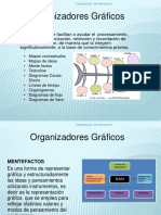 ORGANIZADORES GRAFICOS