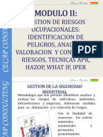 IDENTIFICACIÓN DE PELIGROS Y EVALUACIÓN DE RIESGOS(1)