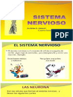 Sistema n Central