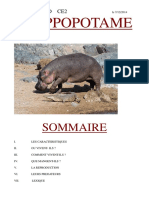 L_hippopotame