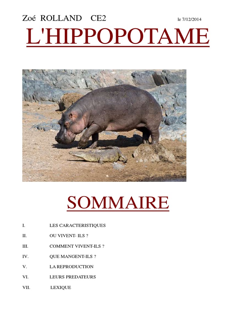 L Hippopotame | PDF | Hippopotame | La nature, image size:768x1024