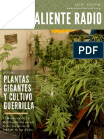 Plantas Gigantes 19