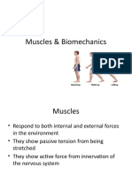 B Muscles - Biomechanics - Student