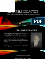 Principii Didactice
