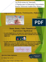 Expresiones Algebraicas, Factorización y Radicación