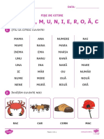 Fisa de Citire (A, M, U, N, I, E, R, O, A, C)