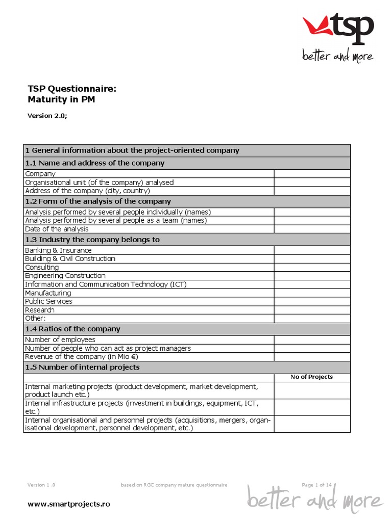 TSP Company Mature Questionnaire PDF Project Management Audit