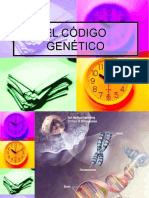 Codigo Genetico