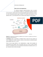 Cuestionario y Fuentes de Informacion