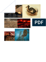 Extincion Masiva PDF