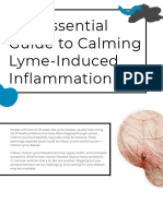 The Essential Guide To Calming Lyme-Induced Inflammation