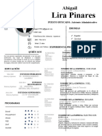 Curriculum Vitae Asistente