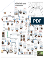 Algoritmo Identificacion Reinas Peninsulares v.2020