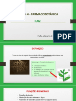 Aula de Farmacobotânica - RAIZES