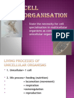 State The Necessity For Cell Specialisation in Multicellular Organisms As Compared To Unicellular Organisms