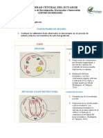 Ariel García Cuestionario de Mitosis.