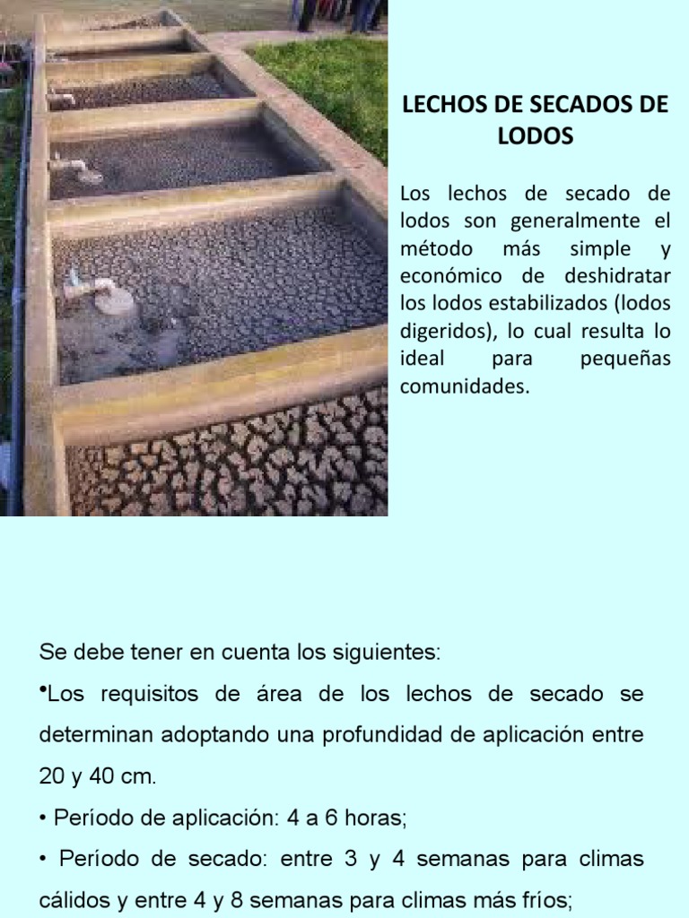 Diseño de Lechos de Secado de Lodos | PDF | Naturaleza